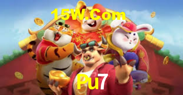 Pu7 - Installation Guide