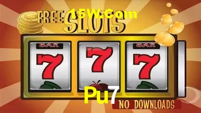Pu7 - Customer Support